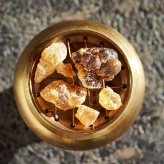 Boswellia Serrata